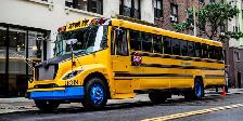 Chauffeur d'autobus scolaire / School Bus driver