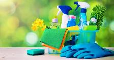 professional cleaners needed in the GTA