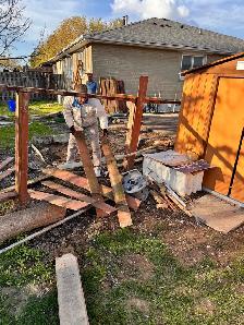 Landscaping Gardening Help needs