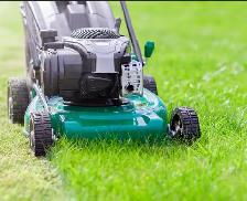 Lawn Maintance