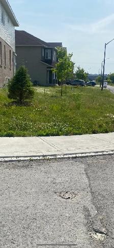 Grass cutting, junk removal and general labour jobs!
