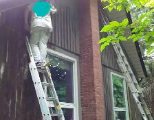 PAINTERS NEEDED