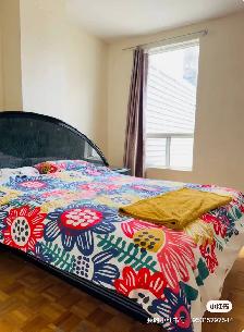 Furnished Room in Downtown Toronto – All Inclusive $1250