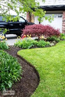 Weed Removal Help Wanted – $20/hr (Cash)