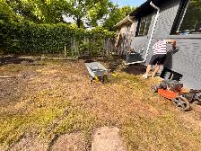 Landscaping and Garbage Removal Help Needs