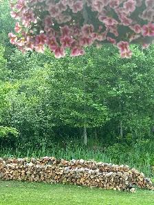 Landscape Labor help