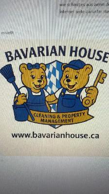 cleaner job
