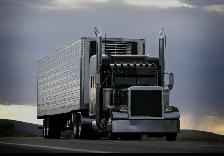 AZ/DZ Driver looking for job