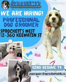 Sprockett's Doggy Day Camp - Hiring Professional Dog Groomer