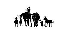 Part-time and full-time Veterinary Technician Jobs