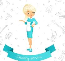 Experienced Cleaner