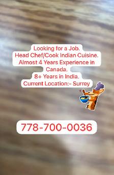 Chef Cook India Cuisine