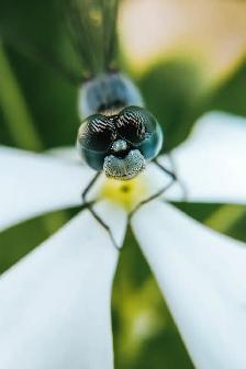 Natural spring water