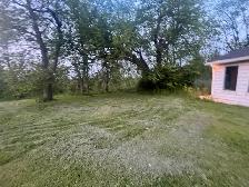 $100 Grass cutting needed