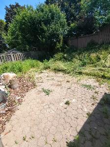 Lawn back yard grass cut, lawn maintenance