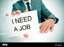Looking for Night Shift Job at Circle k, esso or any convenience