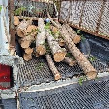 $20/hr Labor job