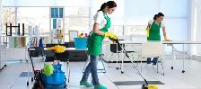 Air BnB Cleaner Position (Temporary)