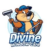 Window Cleaner