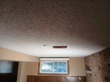 experienced Taper and Painter