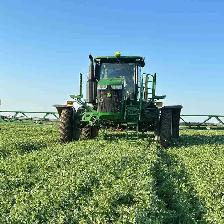 Farm labour wanted