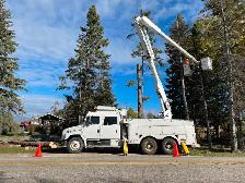 HELP WANTED: TREE SERVICE CREW MEMBER Full time / Part time