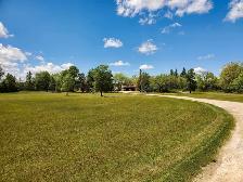 landscaping services
