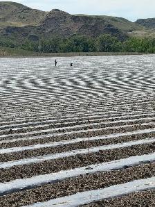 Farm Help Wanted -Start immediately CASH! $21.50/HOUR