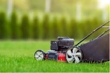 Lawn Mowing and Trim Needed - SW