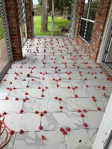 Contractor Available