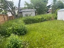 landscaping