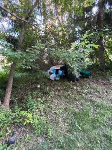 $40 Garbage removal Needed