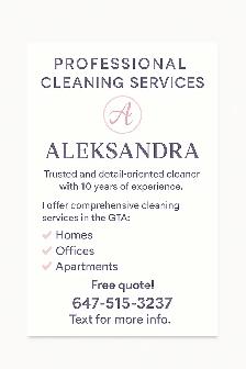 Cleaning lady