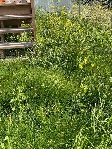 LAWN MOWER LOOKING FOR WORK 403-805-2059
