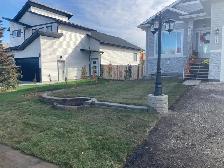 Absolute lawn care and landscaping