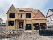 carpenter/renovator