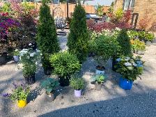 looking for grass cutter / general labour person