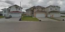 Remove concrete driveway and lay sod