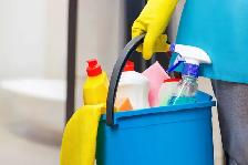 Seeking skilled home cleaner for growing team in South Edmonton
