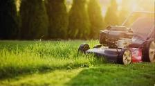 Lawn cutting Service