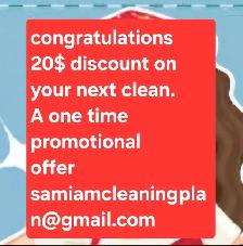 Cleaning Lady/PSW