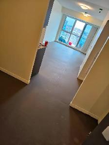 Busy renovation company looking to hire