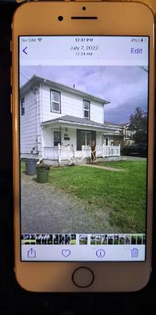 Yard Maintance