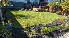 Looking  for experience  Landscaping  worker