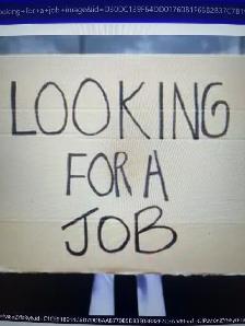 looking for any types of job