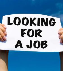 Seeking for a job