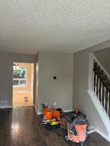 handyman/renovator