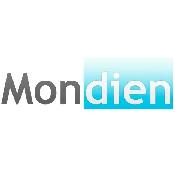 Professional Web Design, Development & Marketing | Mondien