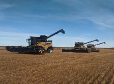 Farm Hand on 4000 acre Grain Farm