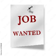 Student Looking for work